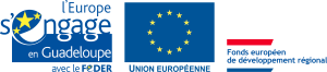 Logo du fonds européen FEDER Guadeloupe